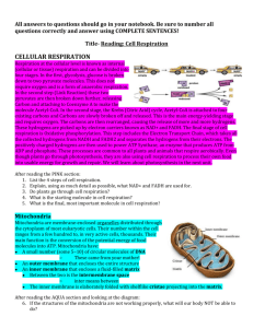 Cell Respiration.Edited Text