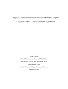 Atypical Acquired Portosystemic Shunts in a Havanese Dog with