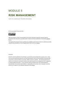 DOCX file of Module 5 – Risk management (0.06 MB )