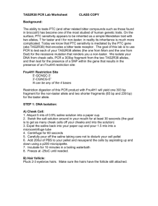 TAS2R38 PCR Lab Worksheet