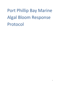 Port Phillip Bay Marine Algal Bloom Response Plan