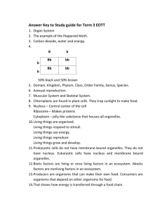 Answer Key to Study guide for Term 3 EOTT
