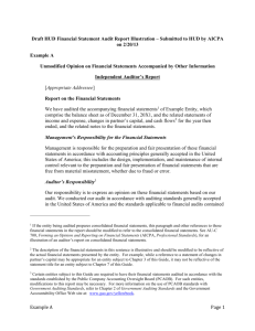 Access illustrative financial statement report for HUD