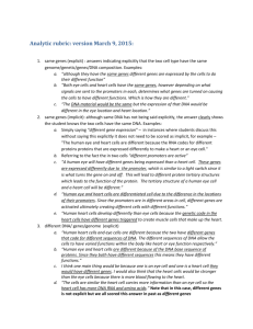 Analytic rubric: version March 9, 2015