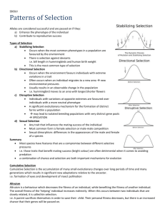 SBI3UI Patterns of Selection Alleles are considered successful and