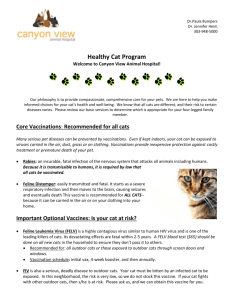 Healthy Cat Program - Canyon View Animal Hospital