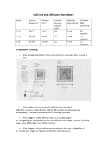 Simon Han 3B Cell Size and Diffusion Worksheet