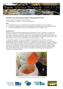 Smarter trout stocking - Year 1 [MS Word Document