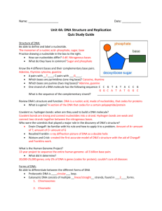 Unit 4A: DNA Structure and Replication Quiz Study Guide