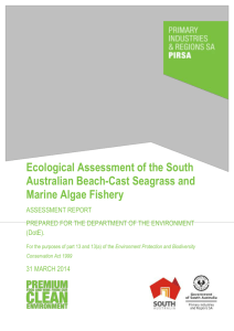 Ecological Assessment of the South Australian Beach