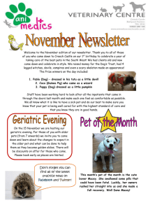 Welcome to the November edition of our news letter