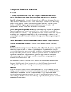 Rangeland ruminant nutrition