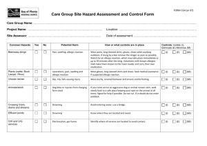 Care Group Site Hazard Assessment and Control Form