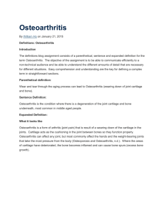 Osteoarthritis Definition assignment