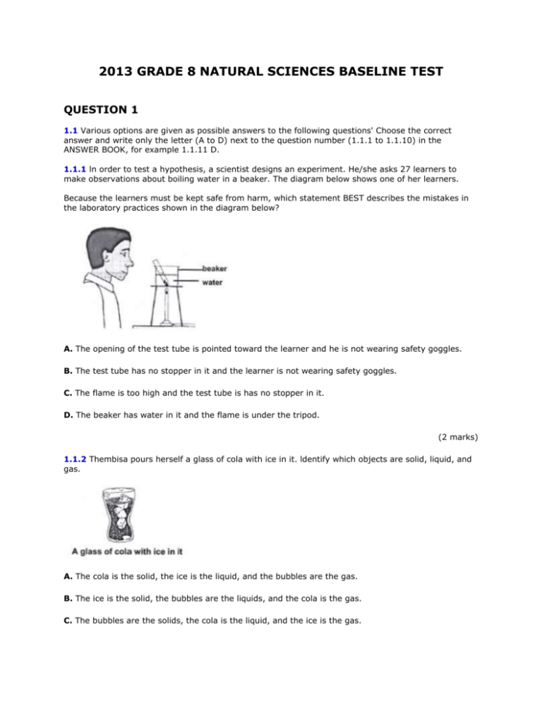 grade 8 question paper term 3