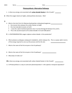 11 Photosynthesis Alternative Pathways to go with powerpoi