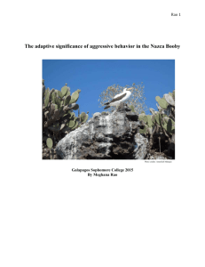 The adaptive significance of aggressive behavior in the Nazca Booby