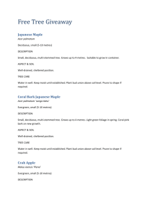 2015 tree species information and maintenance