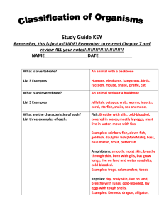 Study Guide KEY