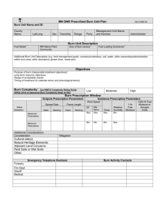 Pre-burn Site Preparation Plan