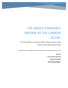 carbon offsets report