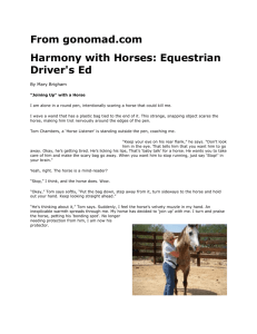 Harmony with Horses gonomad.com