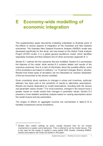 E Economy-wide modelling of economic