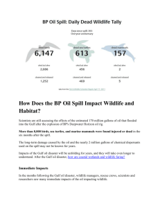 How Does the BP Oil Spill Impact Wildlife and Habitat