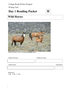 Living with Wild Horses - Kentucky Writing Project