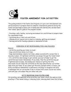 foster agreement for cat/kitten