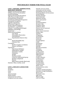 psychology terms for final exam