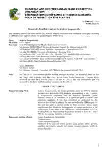 PRA Report Keiferia - European and Mediterranean Plant Protection