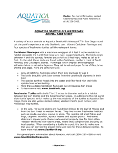 AQUATICA FACT SHEET Page of 1 Media: For more information