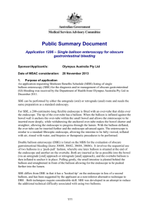 Word Version Public Summary Document