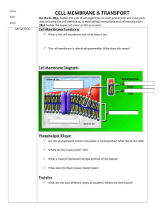 Cell Reproduction - Guided Notes