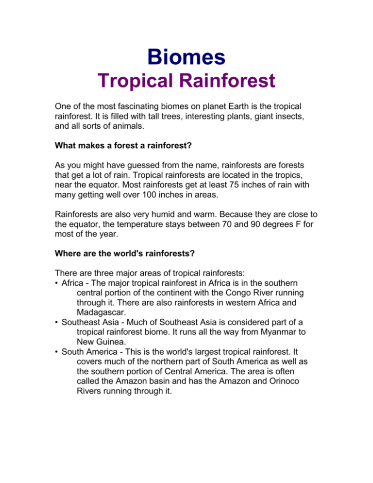 research paper on tropical forest