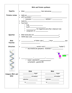 Ch12 RNA and Protein Synthesis Student