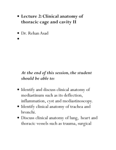 Lecture 2: Clinical anatomy of thoracic cage and cavity II