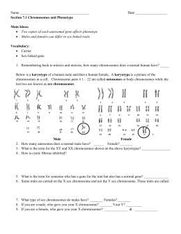 sex linked genes - The Biology Corner