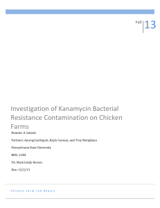 Investigation of Kanamycin Bacterial Resistance Contamination on