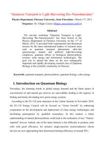 quantum_transport - Florence Theory Group