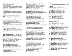 Reaction Notebook Guide