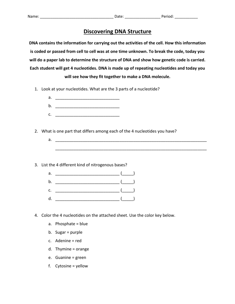 Discovering DNA Structure Inside Dna Structure Worksheet Answer Key