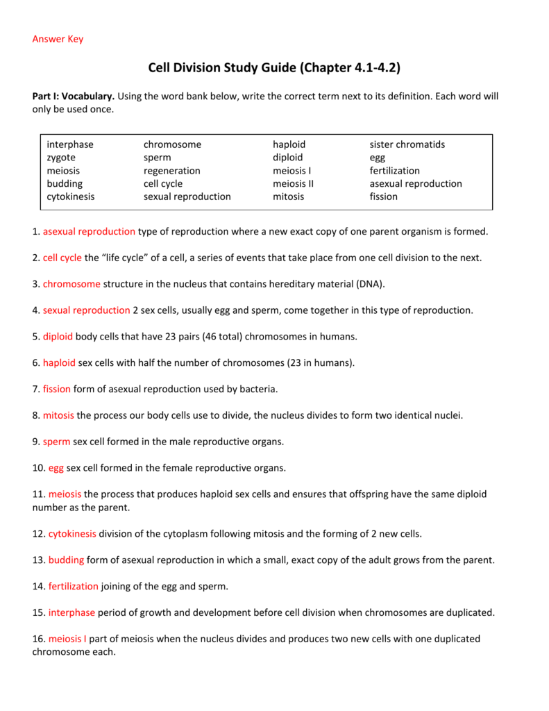 cell-division-study-guide-ans