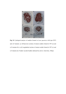 a highly sensitive RT-PCR method for detection and quantification of