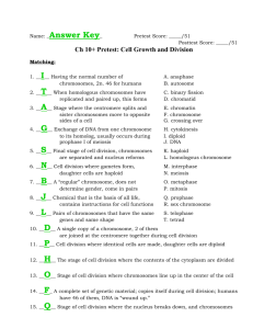 Ch 10+ Pretest: Cell Growth and Division