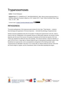 trypanosomoses_3_pathogenesis