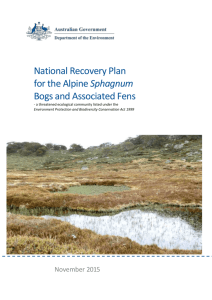 National Recovery Plan for the Alpine Sphagnum Bogs and