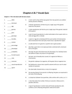 Chapters 6 & 7 Vocab Quiz
