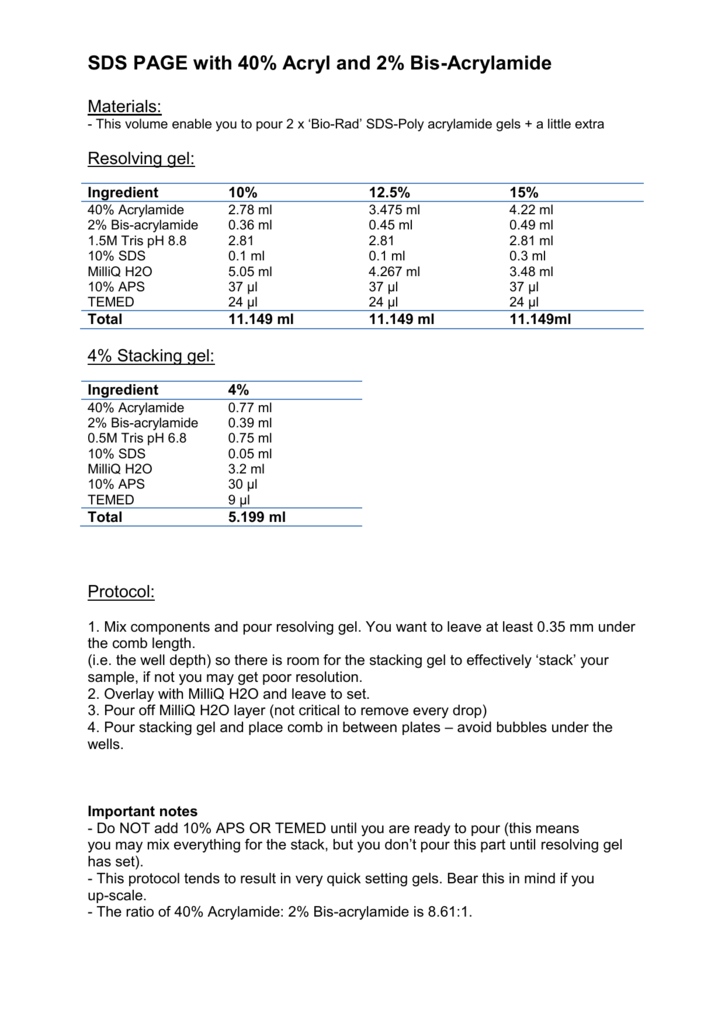 bio rad western blot gel preparation